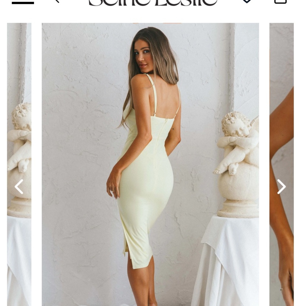Selfie Leslie Dress